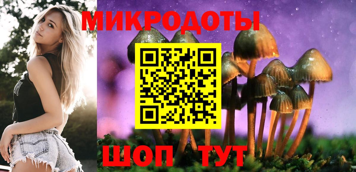 Псилоцибиновые грибы GOLDEN TEACHER  Вход с VPN  Добрянка  Галлюциногенные грибы Magic Shrooms 