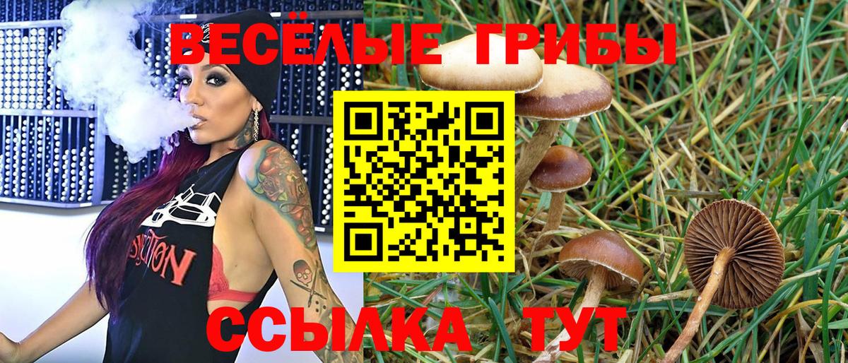 Галлюциногенные грибы прущие грибы Добрянка