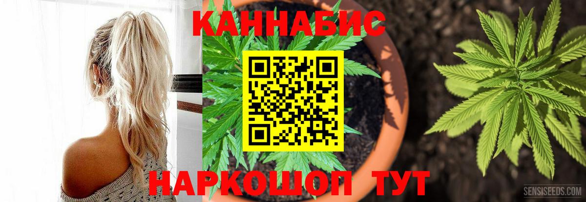 Бошки марихуана план  Вход с VPN  Каннабис Bruce Banner  Канабис THC 21%  Добрянка  Канабис конопля 